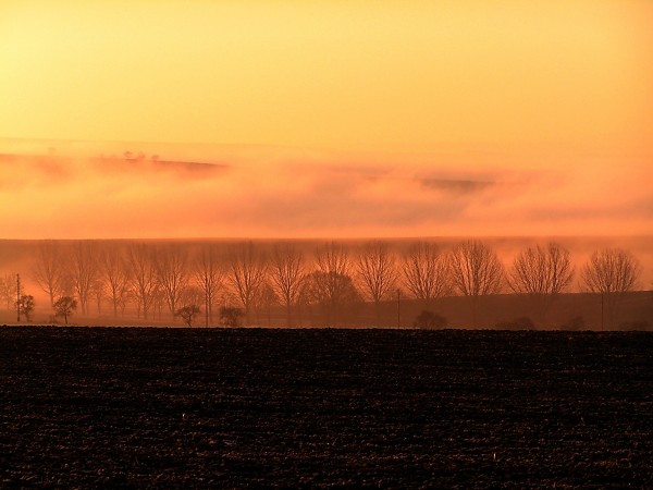 Dieses Foto entstand im Januar 2006. Der Nebel geht die Sonne kommt....