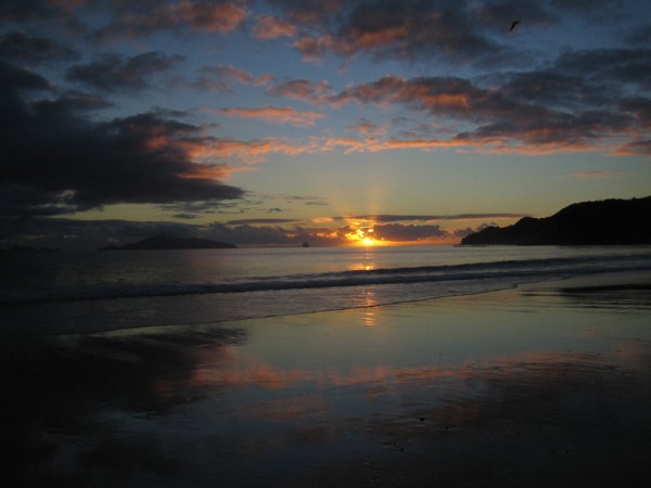 Datum: 2005-04-18
Uhrzeit: 07:54 (Sonnenaufgang)
Ort: Langs Beach(North Island) - Neuseeland
