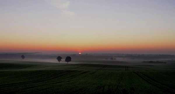 Morgenstimmung kurz vor Sonnenaufgang  mit aufsteigendem Nebel in der Uckermark (Brandenburg)