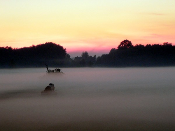 Nebel und gefärbter Himmel welch tolle Konstelation , am 14.10.05 im Brandenburger Land entdeckt