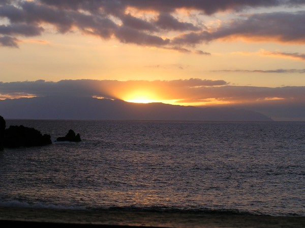 Fotografiert im Februar 2006 am östlichen Strand von Teneriffa, im Hintergrund La Gomera