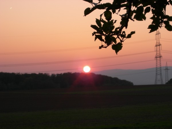 Sonnenuntergang in der neuen Heimat: Oppershofen.
Sommer 2007