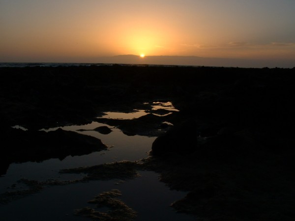 10.4.2005 21:21 Uhr
Teneriffa / Playa de las Americas
Blick auf La Gomera