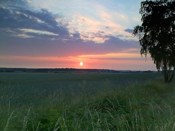 Sonnenaufgang im Ackerland