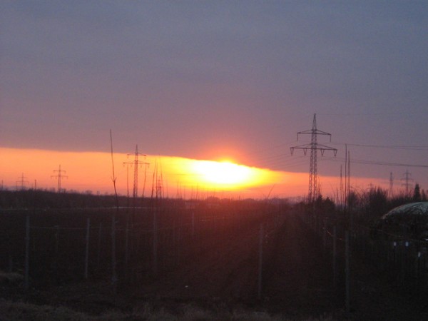Sonnenuntergang Tulln 25.02.2009