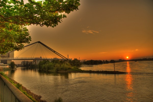 Sonnenuntergang am Rhein.