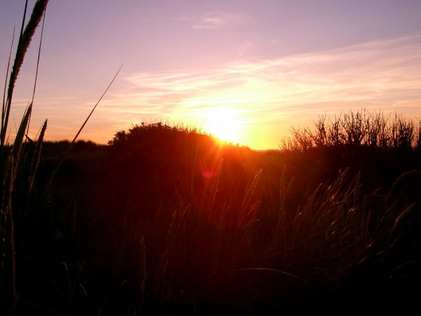 Sonnenuntergang auf der Insel Terschelling!