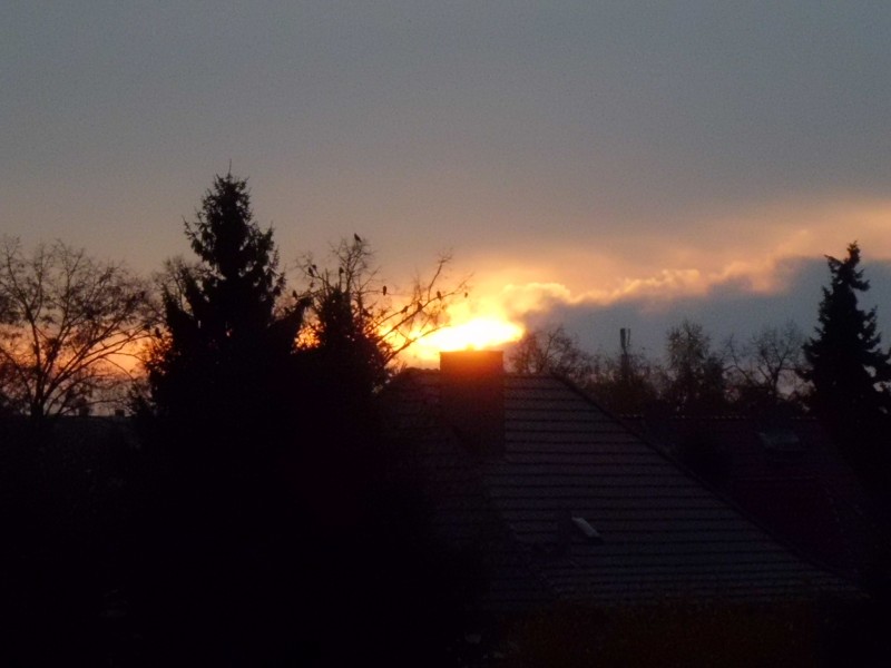 10.11.2014 Sonnenuntergang in Frankfurt (Oder)