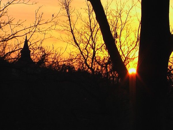Sonne in der Astgabel.
Blick auf die Kirche Niedersaaten an der Oder. Von der Bastei im Tal der Liebe aus. 15.1.2007