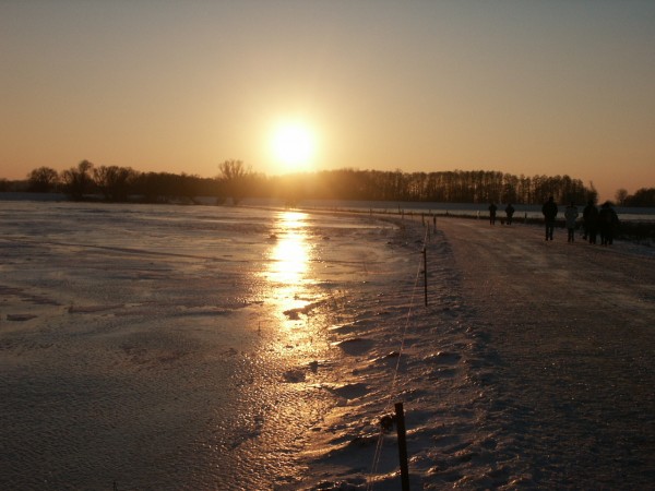 Sonnenuntergang über der vereisten Oder bei -20 Grad am 22. Januar 2006 
