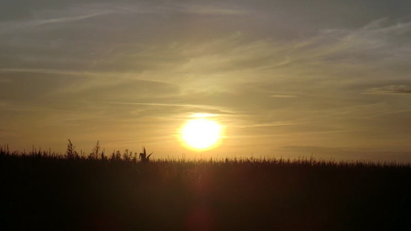 Sonnenuntergang auf Usedom 